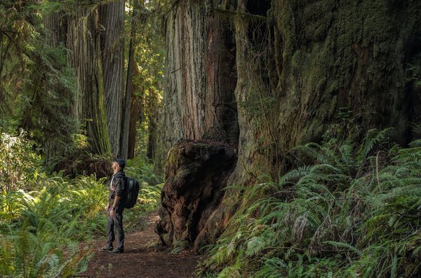 Apprécier la nature tout au long d'un camping en Vendée